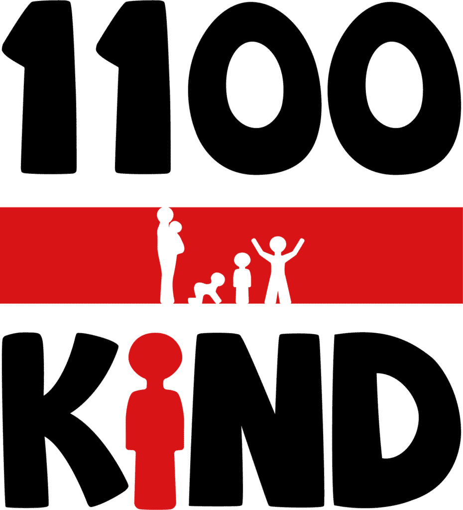 KIND 1100 intelligence overview