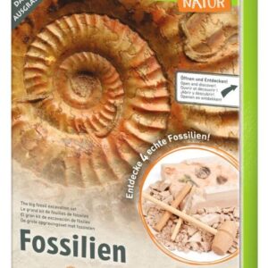Moses Expedition Natur "Das große Fossilien Ausgrabung-Set"
